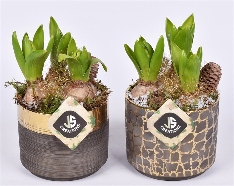 Arr. Hyacinthus ceramic gold look 13 cm