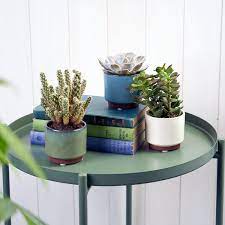 Malibu Succulent Pot - Blue