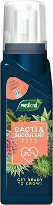 Westland Cacti & Succulent Feed Concentrate 200ml