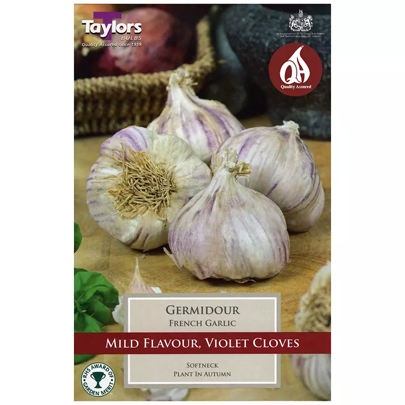 FRENCH GARLIC GERMIDOUR