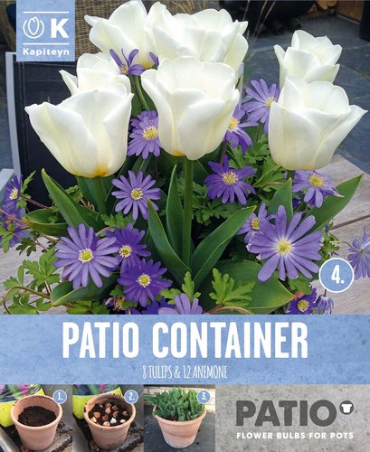 PATIO CONTAINER TULIPA WHITE & ANEMONE BLUE x 20