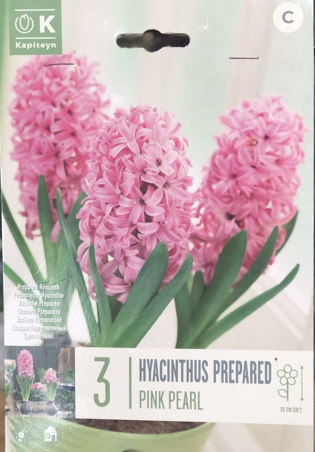 TRAY HYACINTHUS EF PINK PEARL 4 bulbs