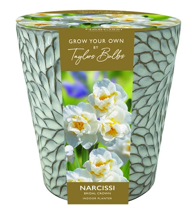 INDOOR NARCISSI CERAMIC PLANTER