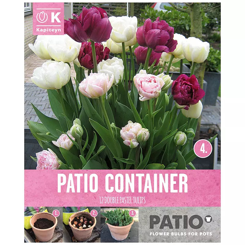 PATIO CONTAINER TULIPA PINK PURPLE & WHITE x 12