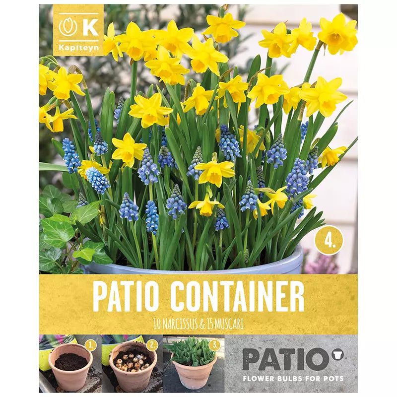 PATIO CONTAINER NARCISSUS & MUSCARI x 25