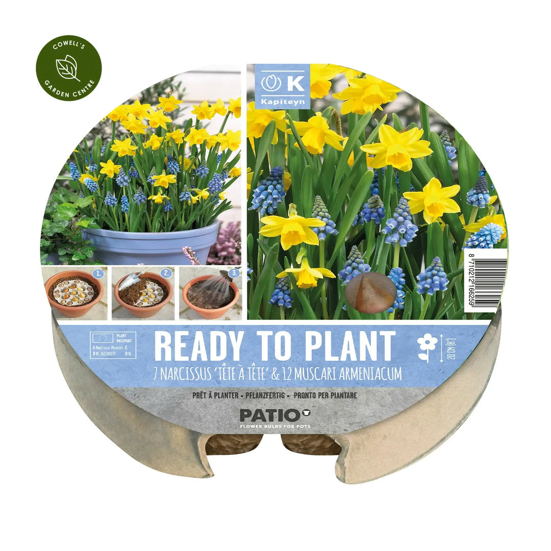 PLANT-O-MAT NARCISSUS & MUSCARI X 19