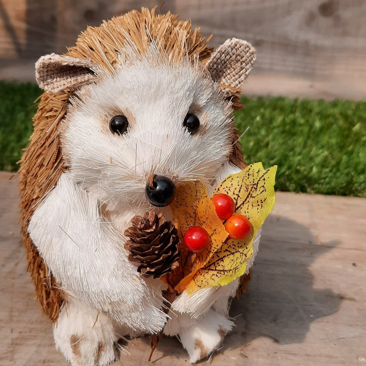 Pinecone Hedgehog (13 X 10 cm)