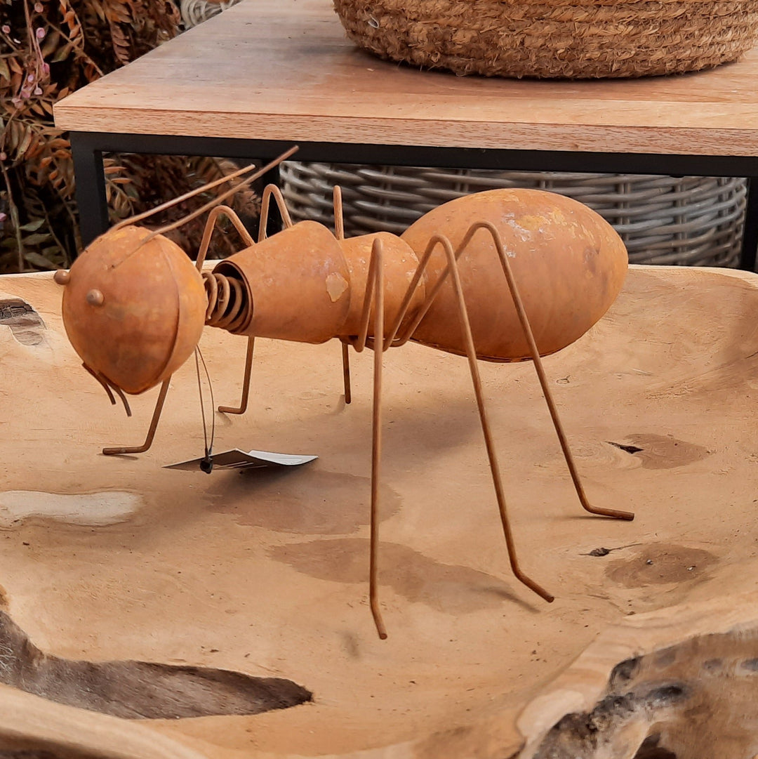 ANT Rust 23x19x10cm