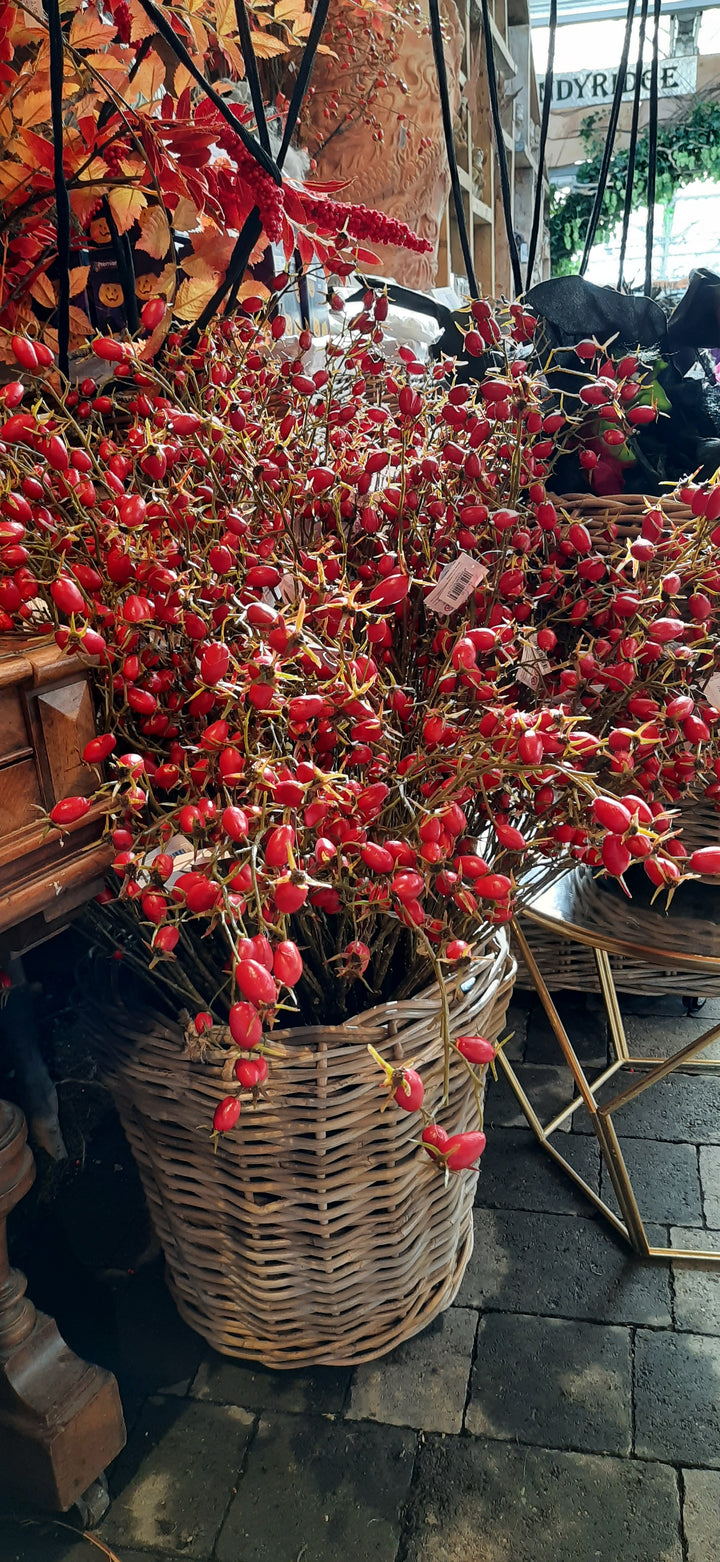 Rosehip Branch (100 cm red)