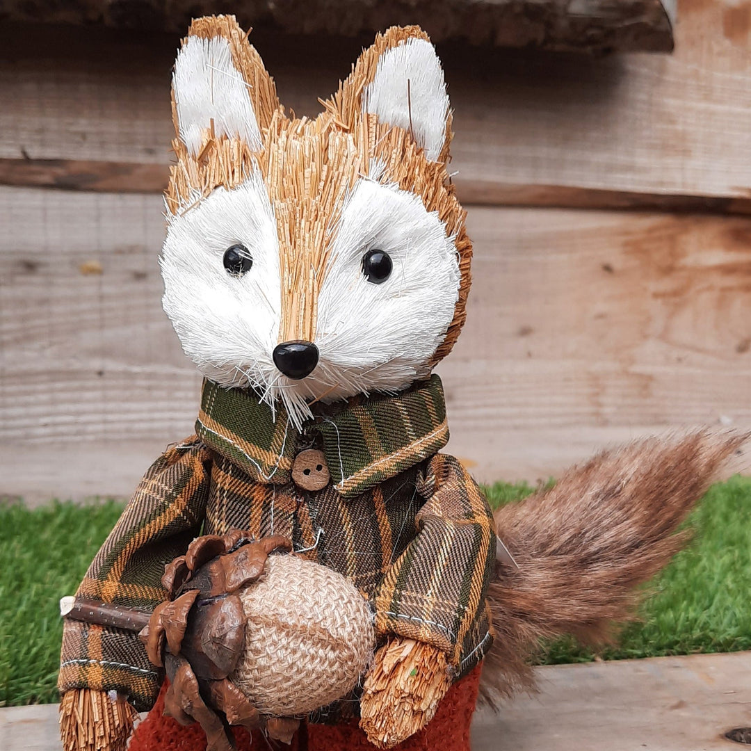 Mr Tartan Fox with Pumpkin (23 x 11 cm)