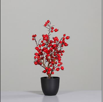 Rosehip tree in black plastic pot, 45 cm