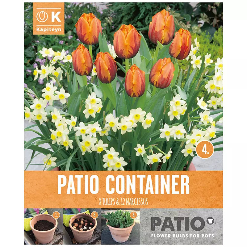 PATIO CONTAINER TULIPA ORANGE & NARCISSUS CREAM x 20