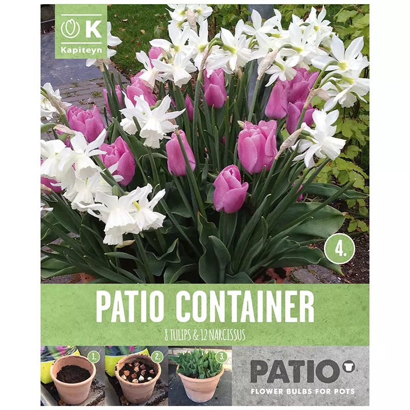 PATIO CONTAINER TULIPA PINK & NARCISSUS WHITE x 15