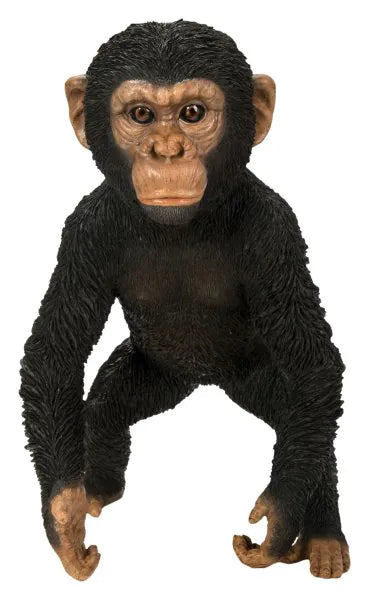 RL Baby Chimpanzee Standing B