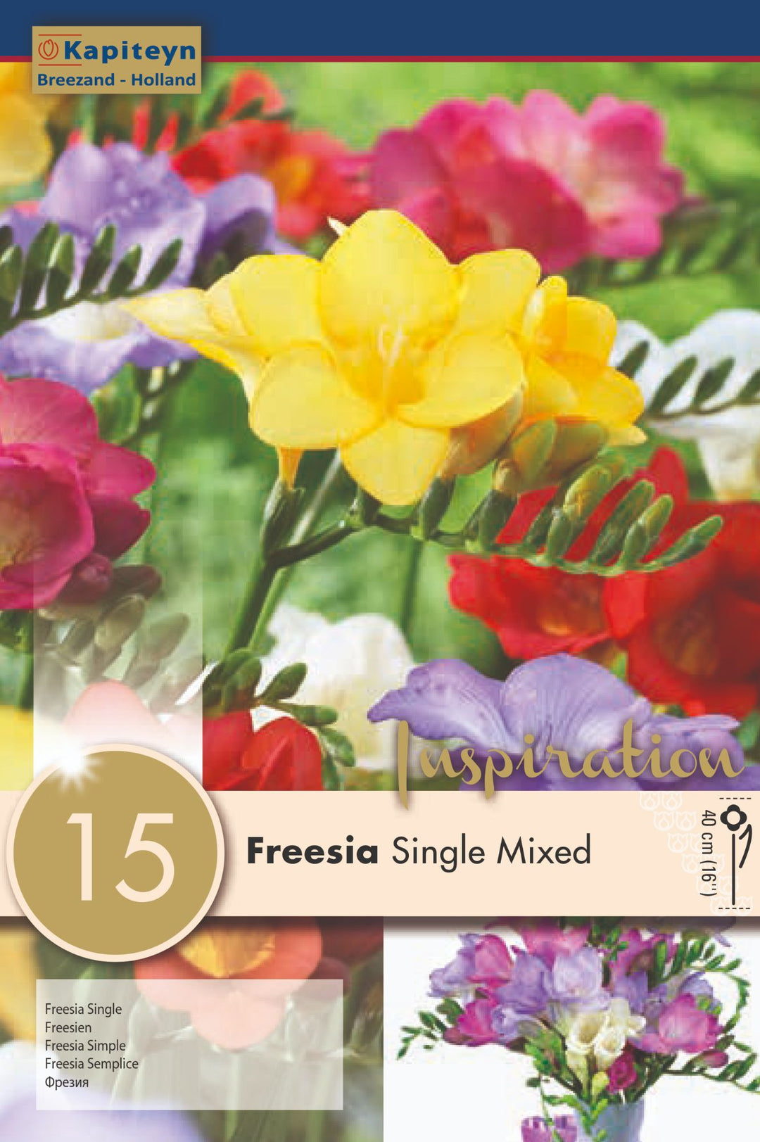 FREESIA SINGLE MIXED x 15