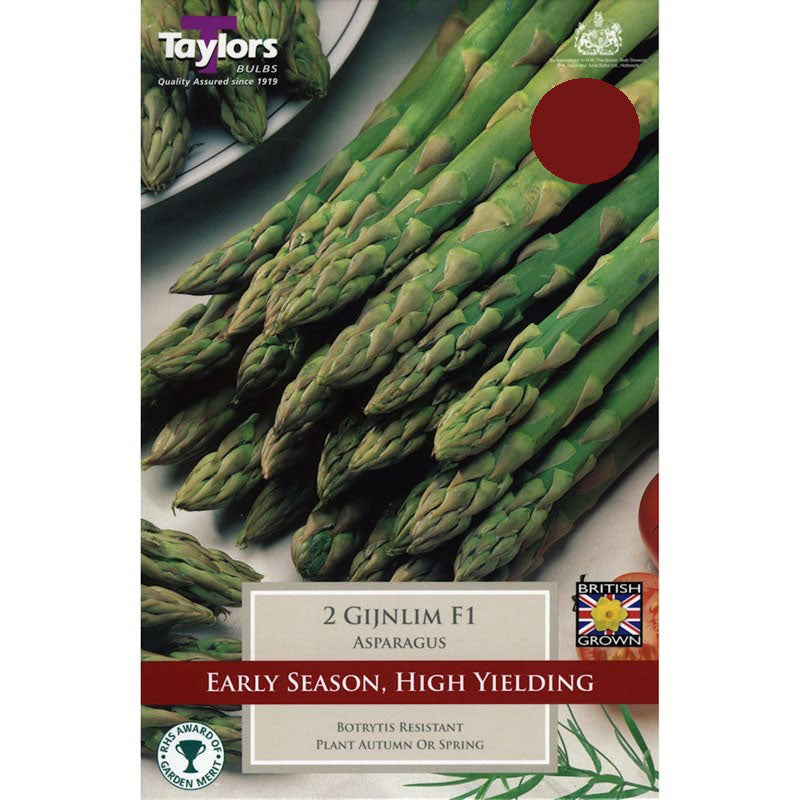 PRE PACKS ASPARAGUS GIJNLIM F1 2