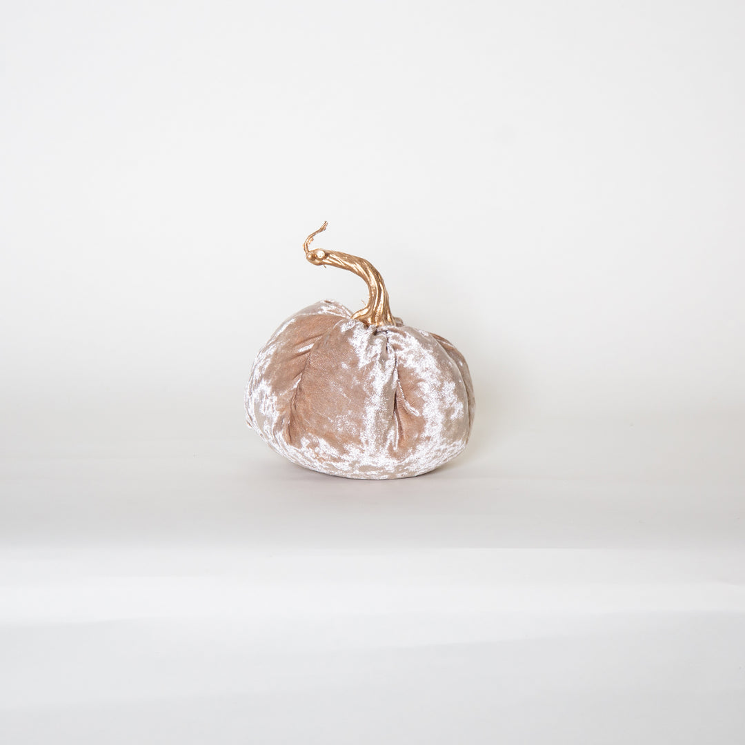 18X16CM Champane Pumpkin