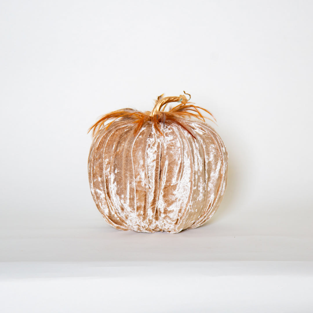 22X21CM Champagne Pumpkin