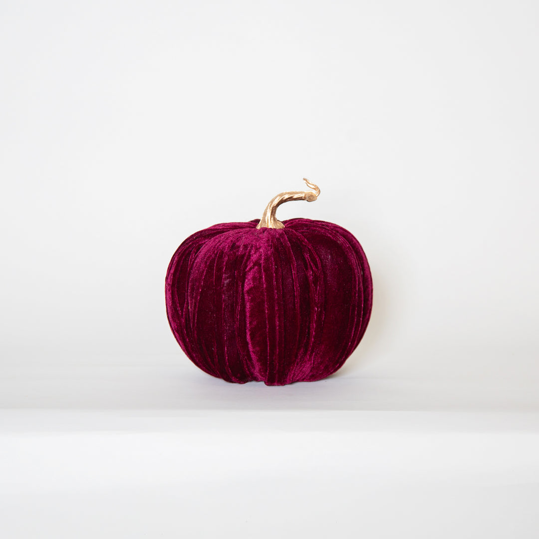 22X21CM Burgundy Pumpkin