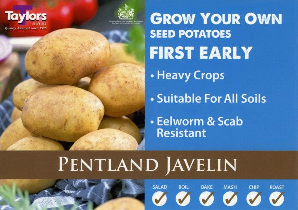 PENTLAND JAVELIN SEED POTATOES