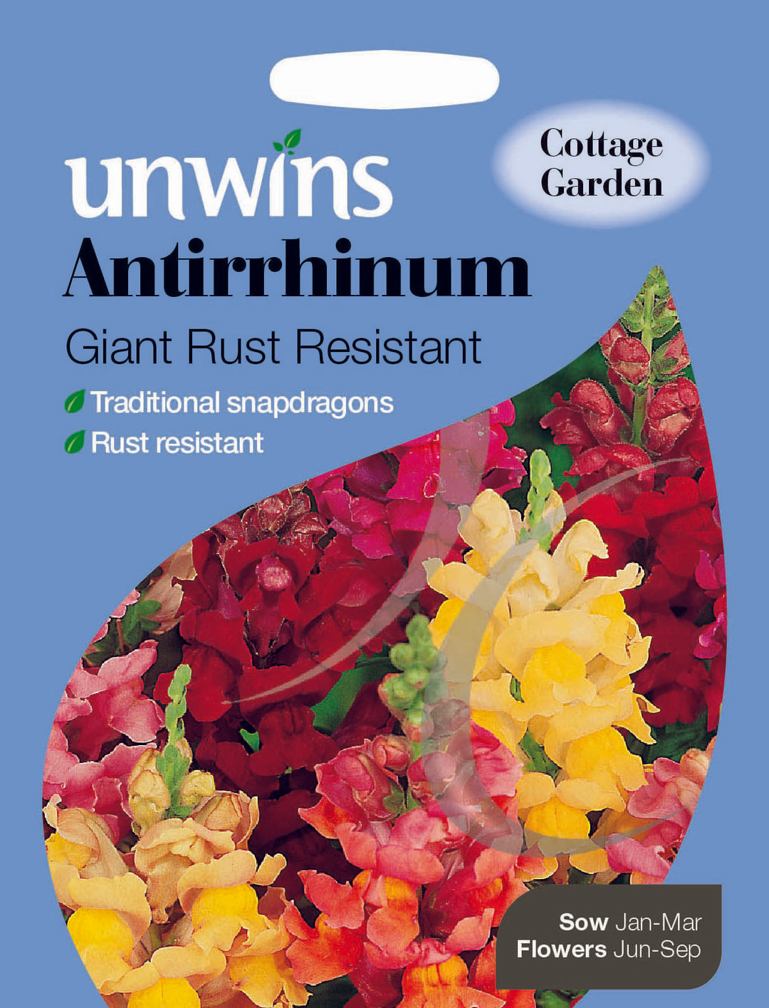 Antirrhinum Giant Rust Resistant