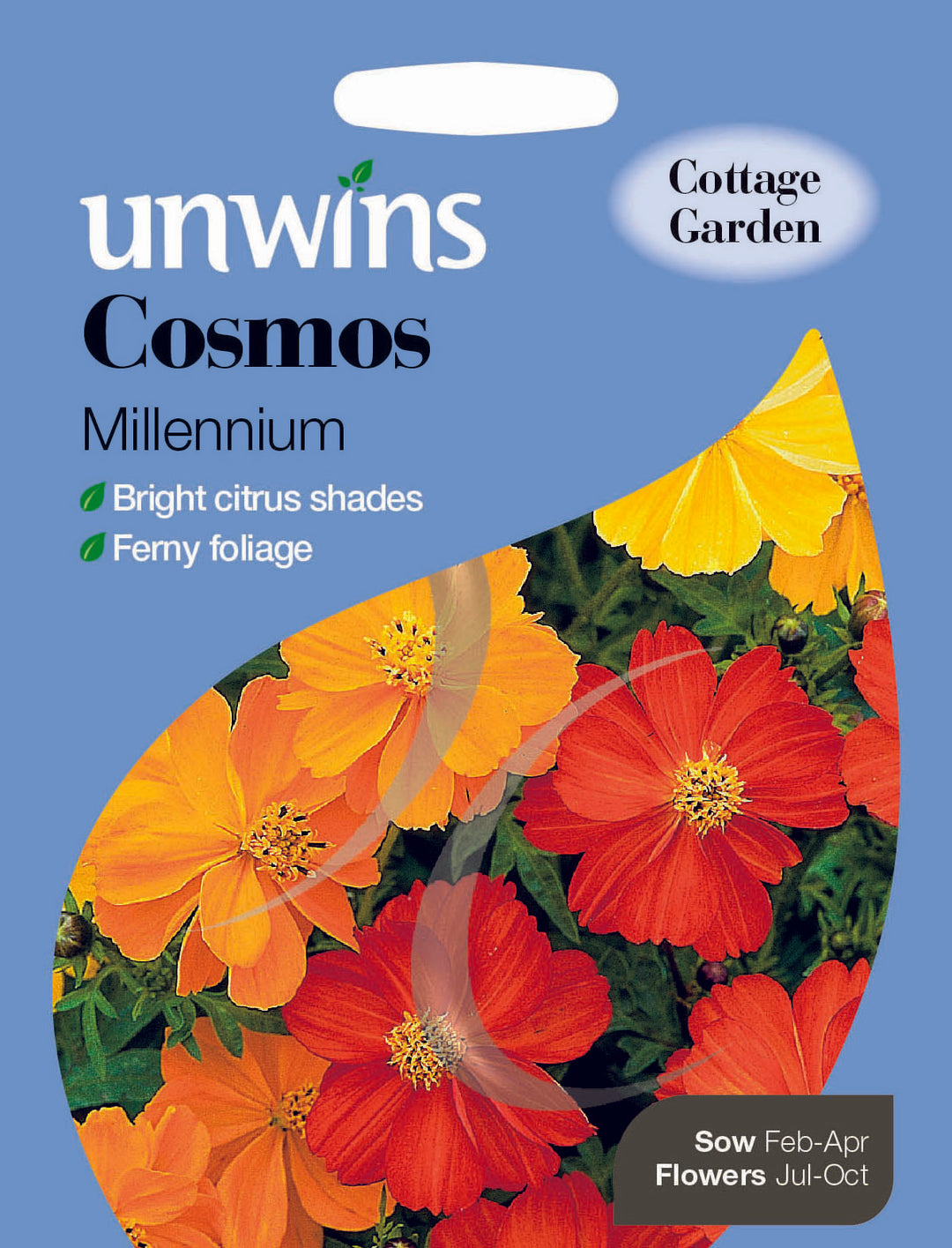 Cosmos Millennium