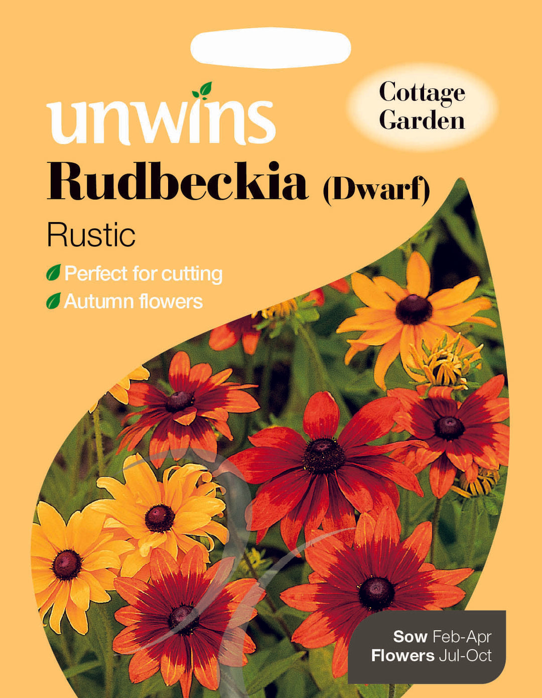 Rudbeckia Dwarf Rustic