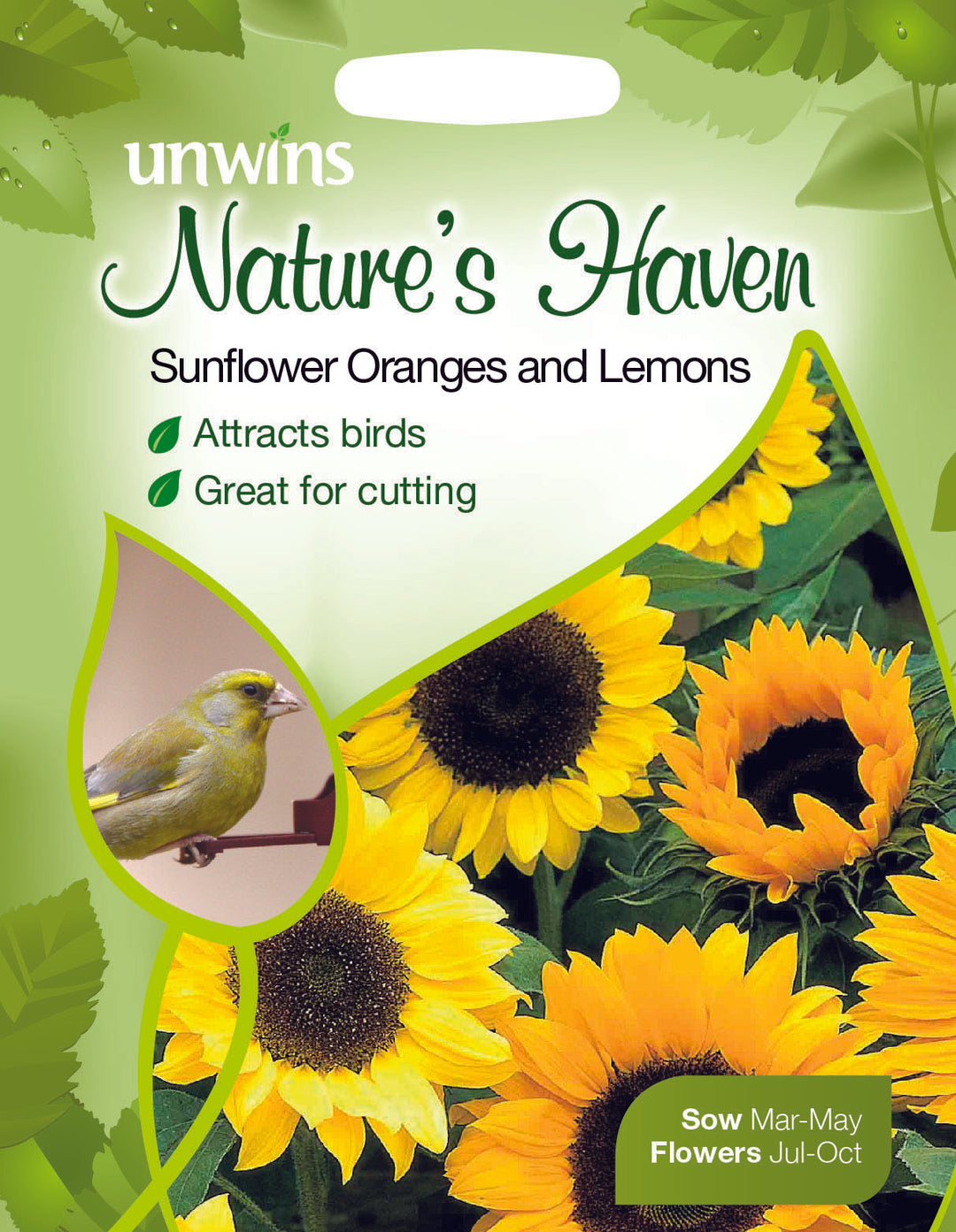 NH Sunflower Oranges and Lemons