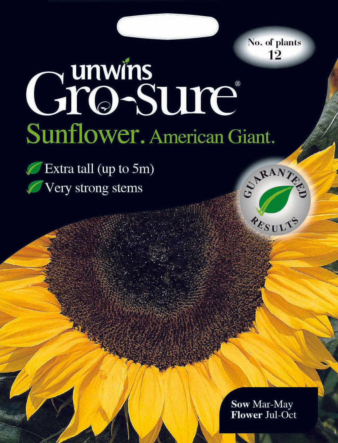 Sunflower American Giant F1