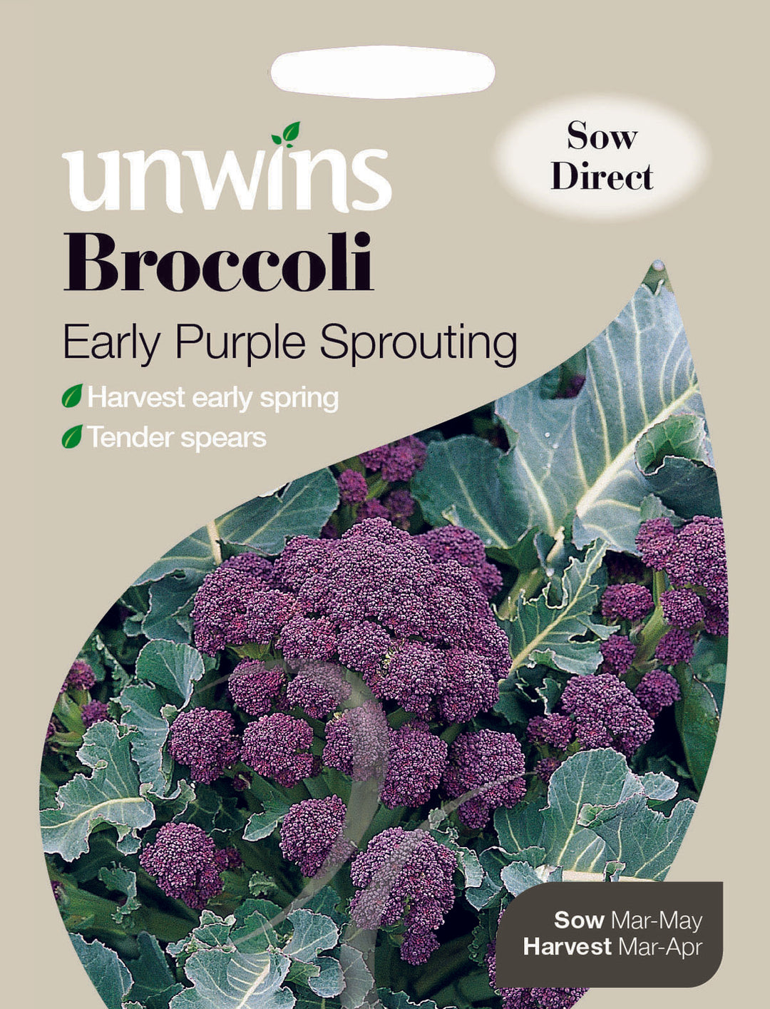 Broccoli Early Purple Sprouting