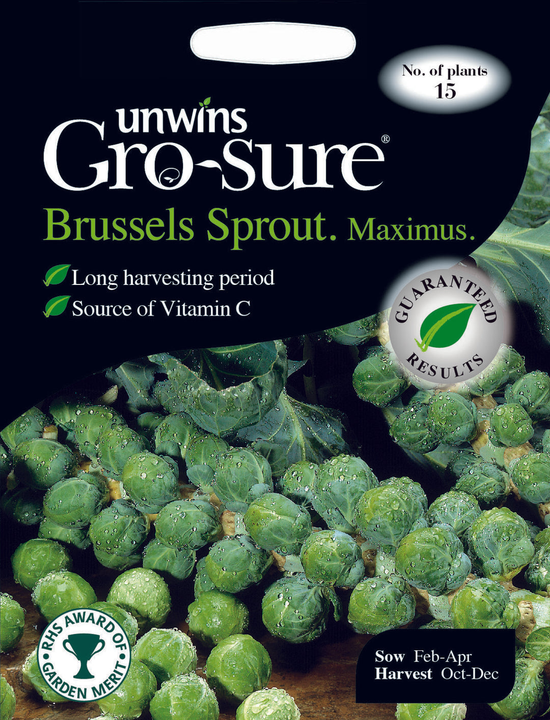 Brussels Sprout Maximus F1