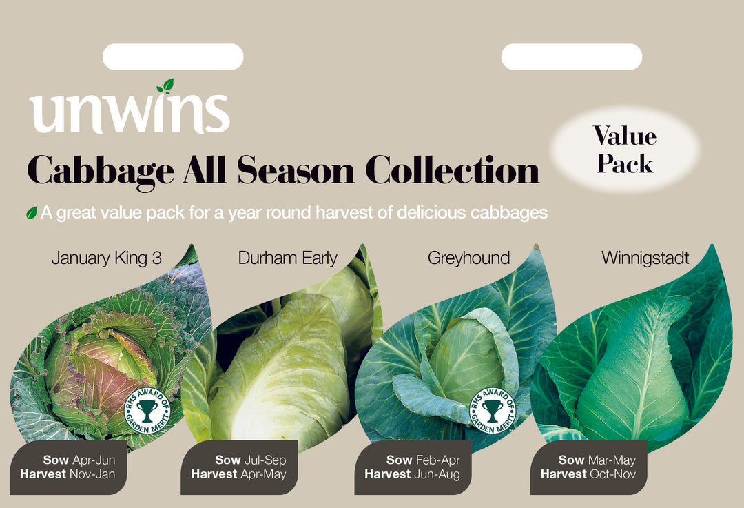Cabbage All Season Collection