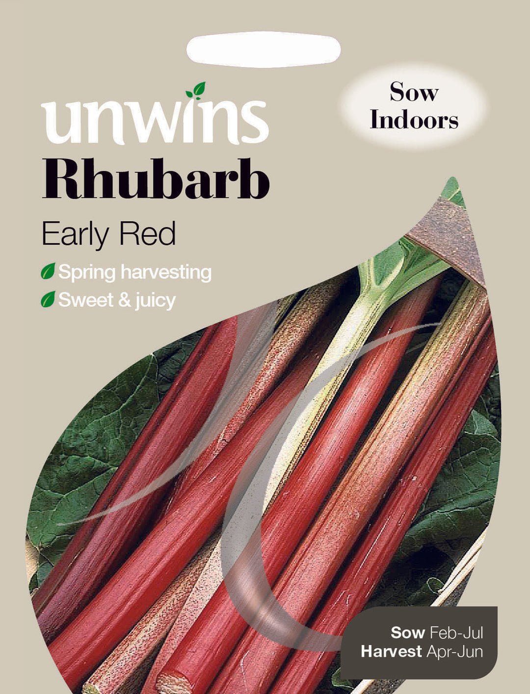 Rhubarb Early Red