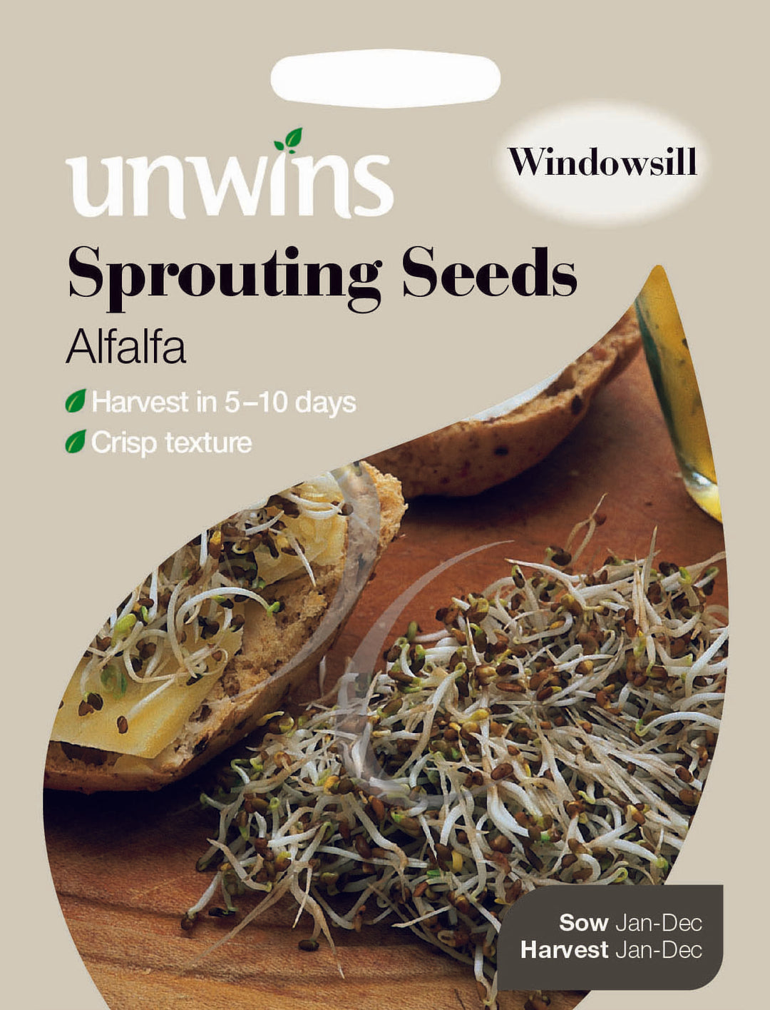 Sprouting Seeds Alfalfa