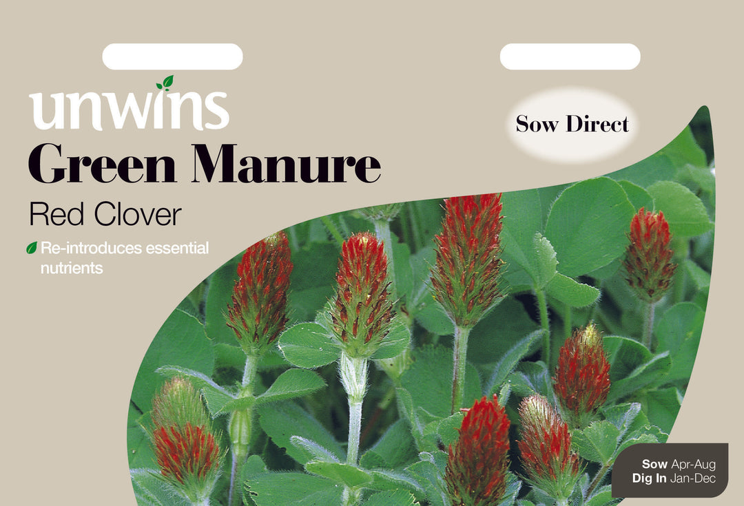 Green Manure Red Clover