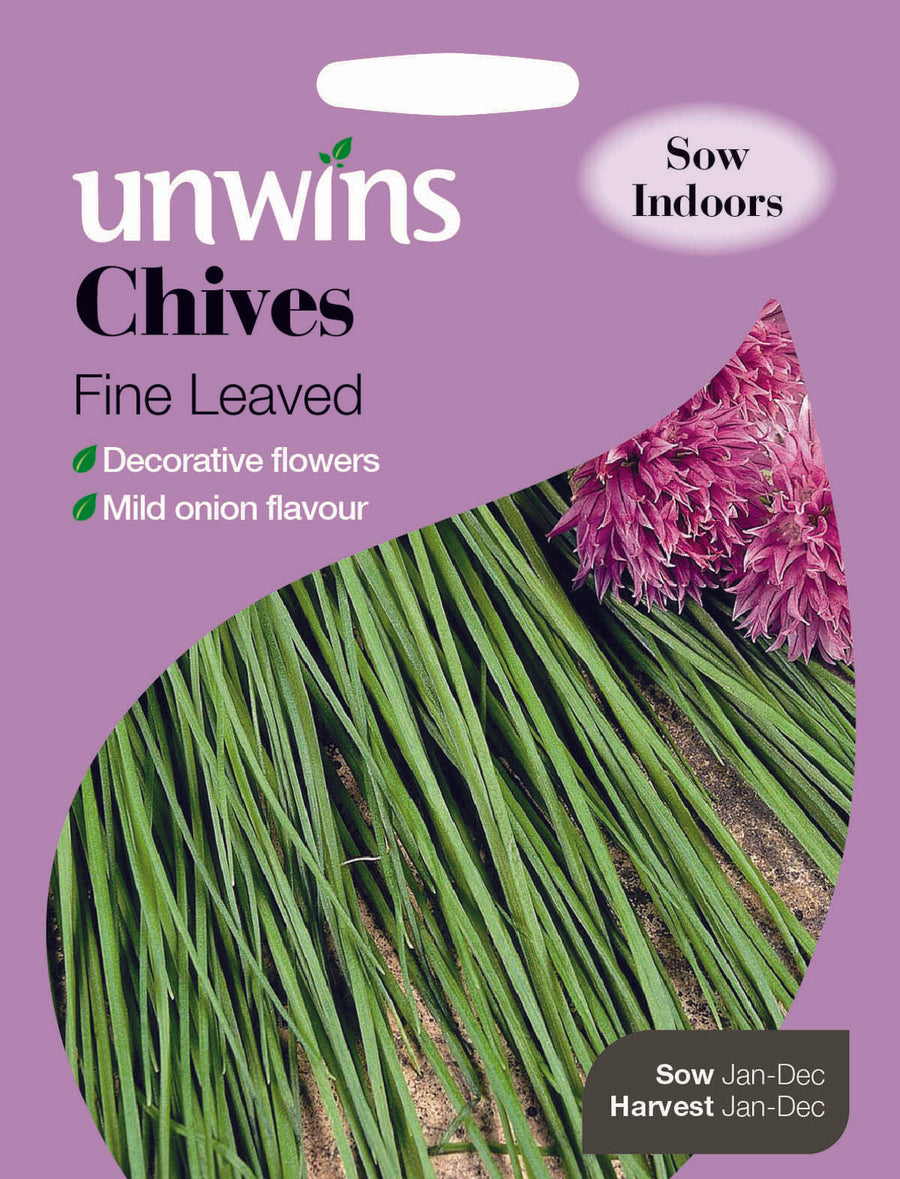 Herb Chives Fine Leaved – Windyridge Garden Centre