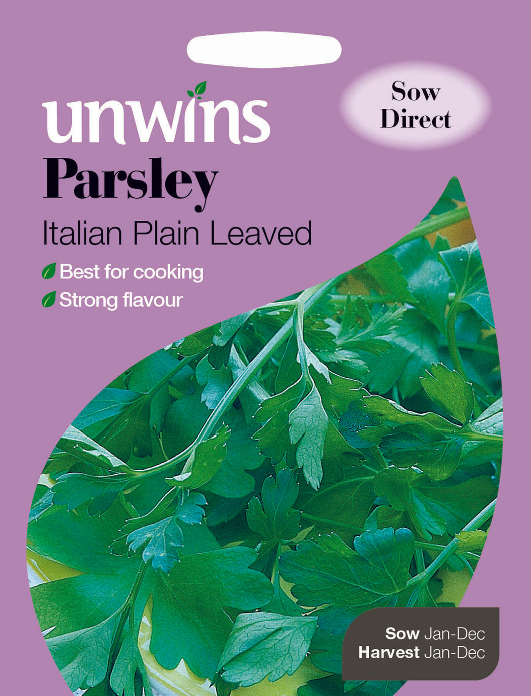 Herb Parsley Italian Plain Leaved