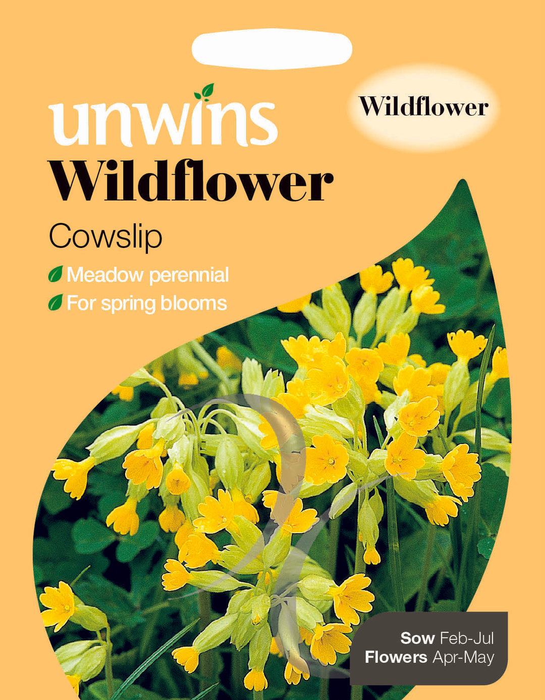 Wildflower Cowslip