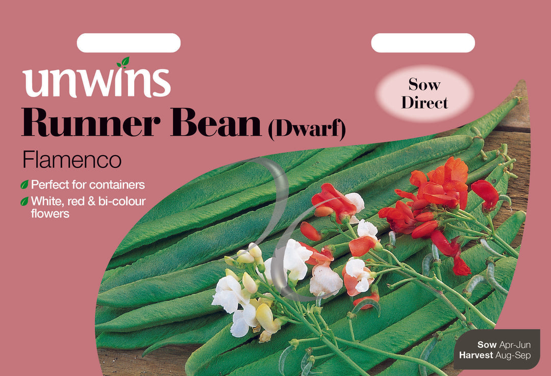 Runner Bean (Dwarf) Flamenco