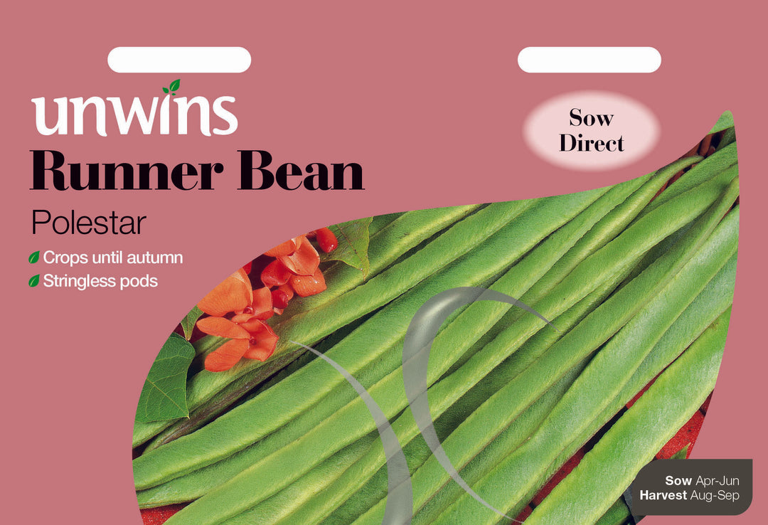 Runner Bean Polestar