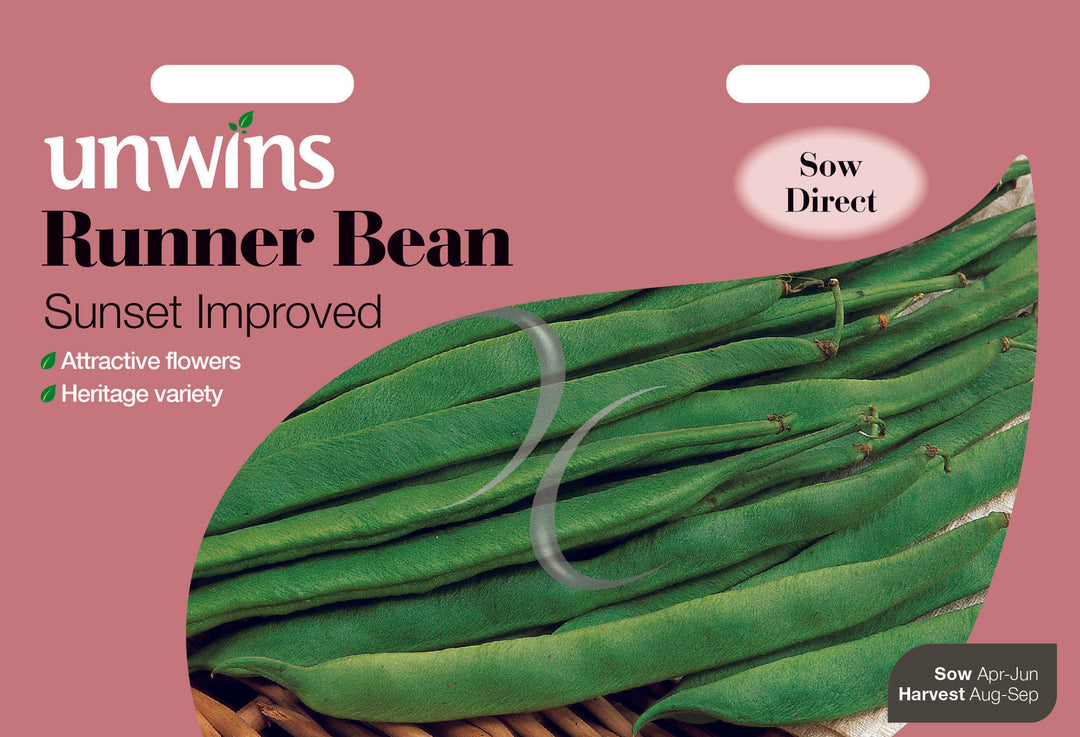 Runner Bean Sunset Improved