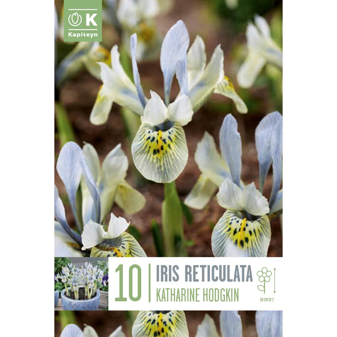 IRIS KATHARINE HODGKIN X 10