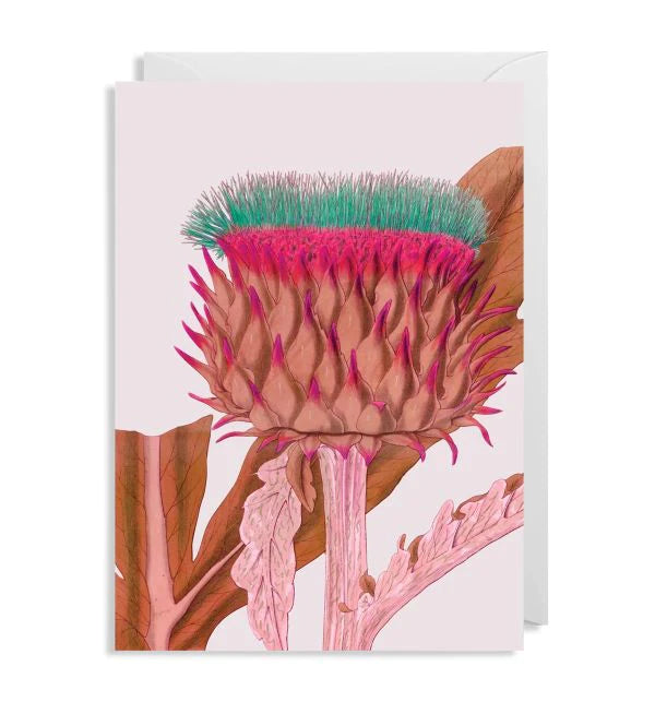 Lagom Floral Cardoon