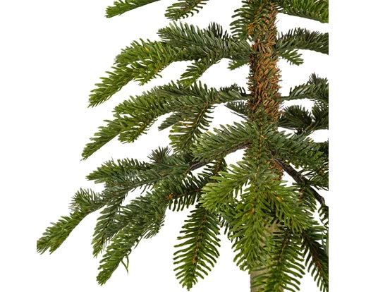 Alpine fir tree 4ft 120cm