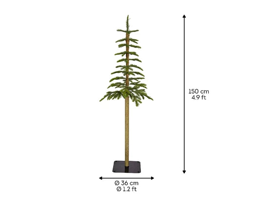 Alpine fir tree 5ft 150cm