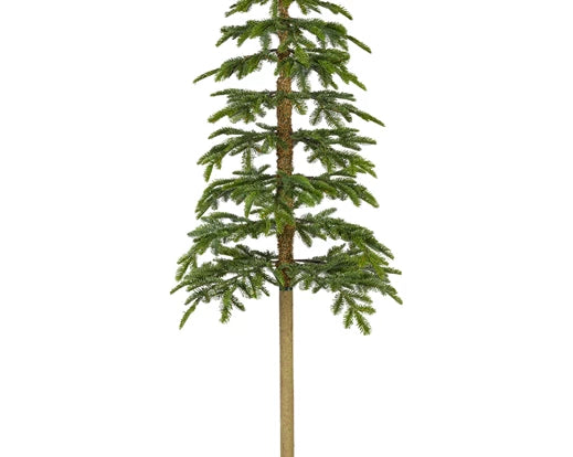 Alpine fir tree 6ft 180cm