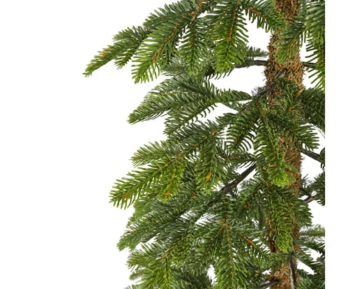 Alpine fir tree 6ft 180cm