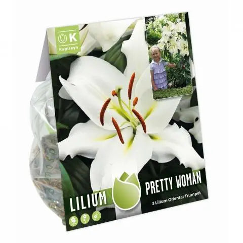 TREE LILIUM PRETTY WOMAN x 3