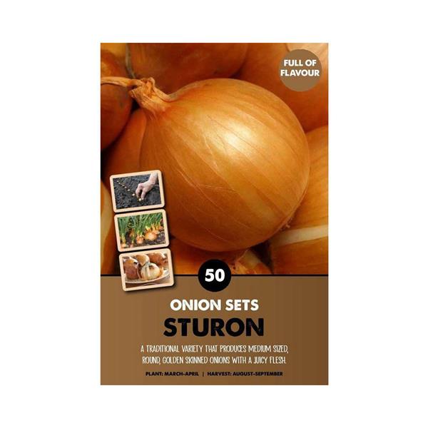 ONIONSETS STURON 50