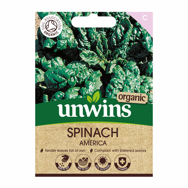 Spinach America (Organic)